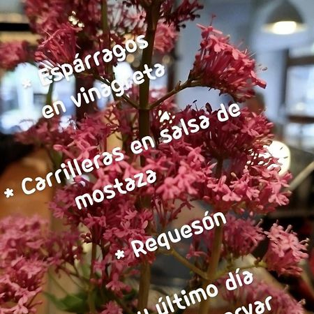 Appartamento Lezegorria Urzainqui Esterno foto
